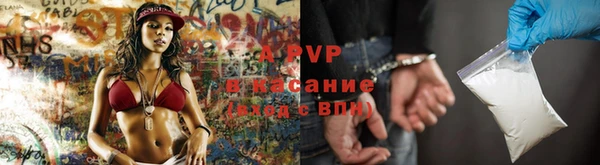 гидропоника Богданович