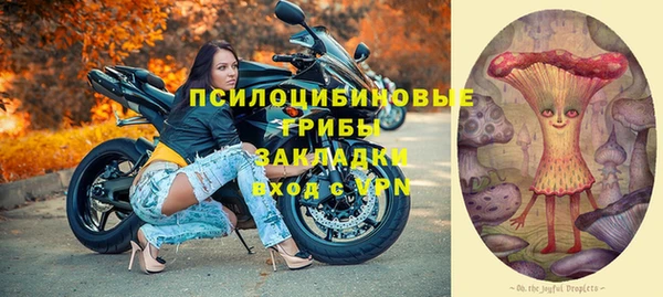 гидропоника Богданович