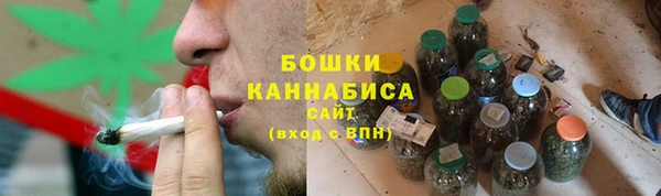apvp Инсар