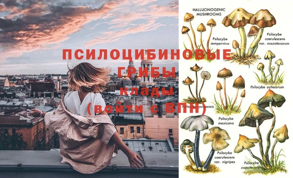 гидропоника Богданович