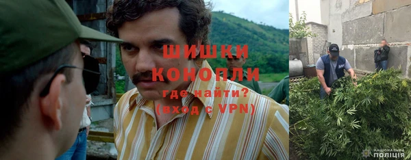 гидропоника Богданович