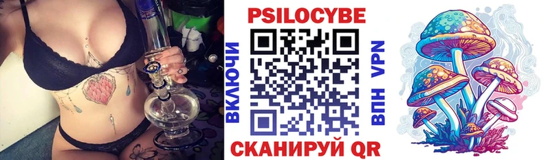 дарнет шоп  Старица  площадка как зайти  Галлюциногенные грибы Psilocybe 
